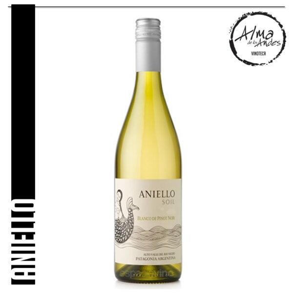 ANIELLO • BLANC DE PINOT • PINOT NOIR