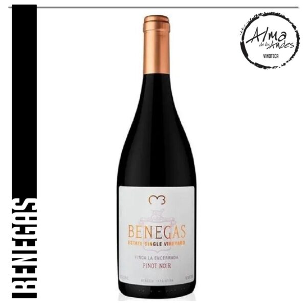 BENEGAS • SINGLE VINEYARD • PINOT NOIR