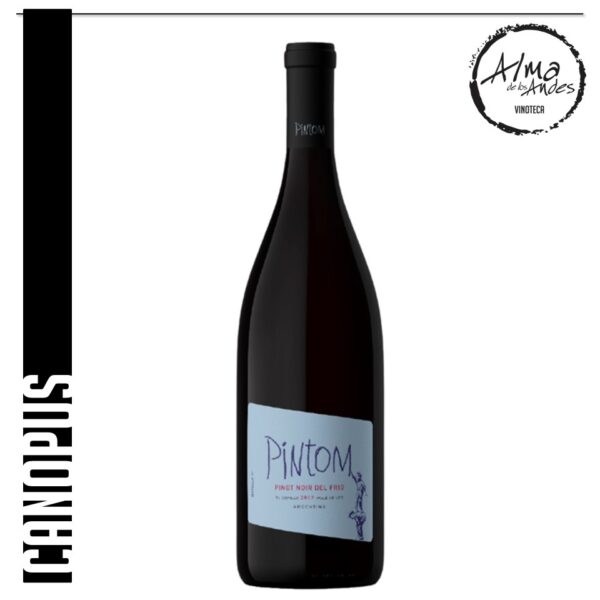 CANOPUS • PINTOM • PINOT NOIR