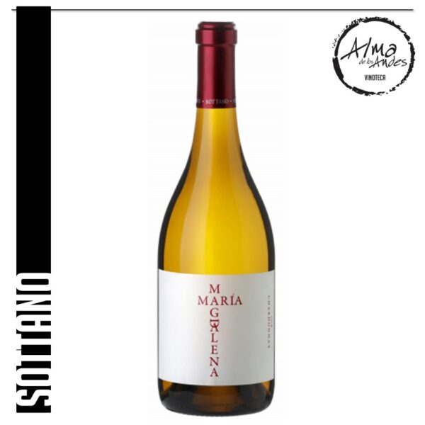 SOTTANO WINES • MARIA MAGDALENA • CHARDONNAY