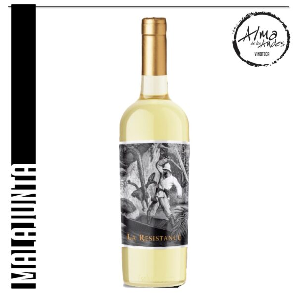 DONOZO BERLANGA• LA RESISTANCE • BLEND DE BLANCAS