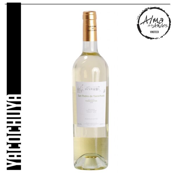 YACOCHUYA • SAN PEDRO DE YACOCHUYA • TORRONTES