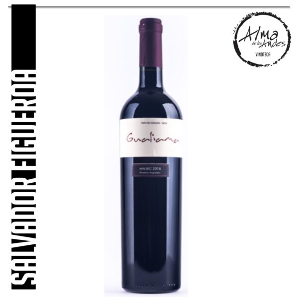 SALVADOR FIGUEROA  • GULIAMA CLASICO MALBEC
