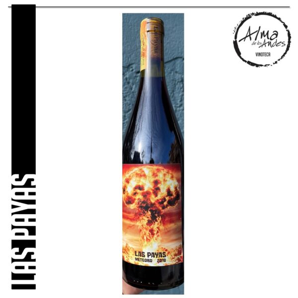 LOS PAYAS • METEORO •PINOT NOIR