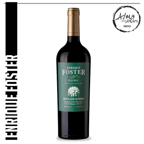 ENRIQUE FOSTER • SINGLE VINEYARD ALTEPES • MALBEC