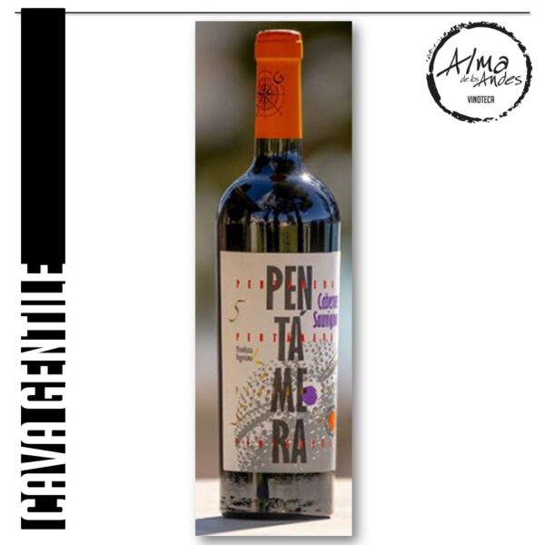 CAVA GENTILE • PENTAMERA  • CABERNET SAUVIGNON